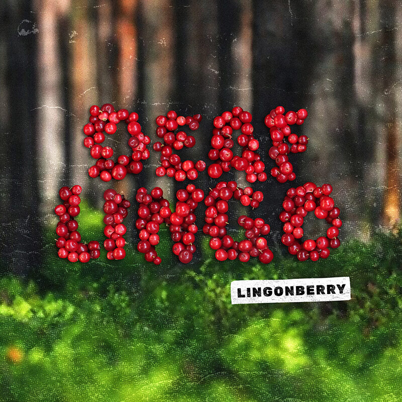 DeafLIngoCover22