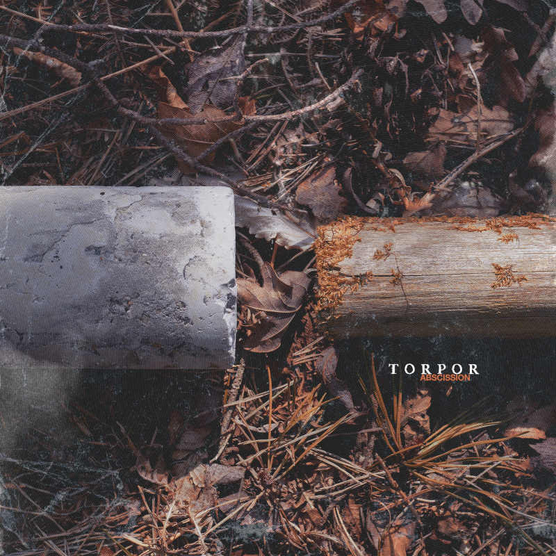 HW030_Torpor_Artwork_Cover