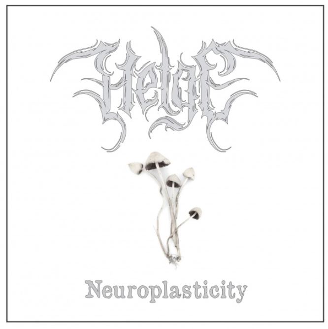 Helge_Nezroplasticty