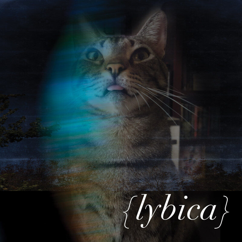 Libyca