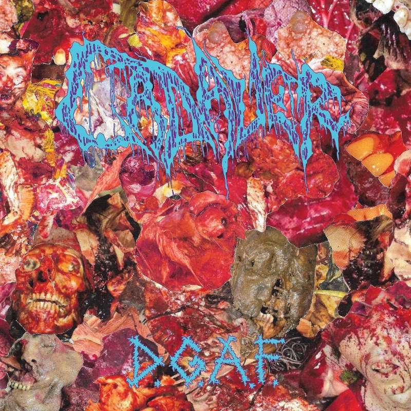 cadaver