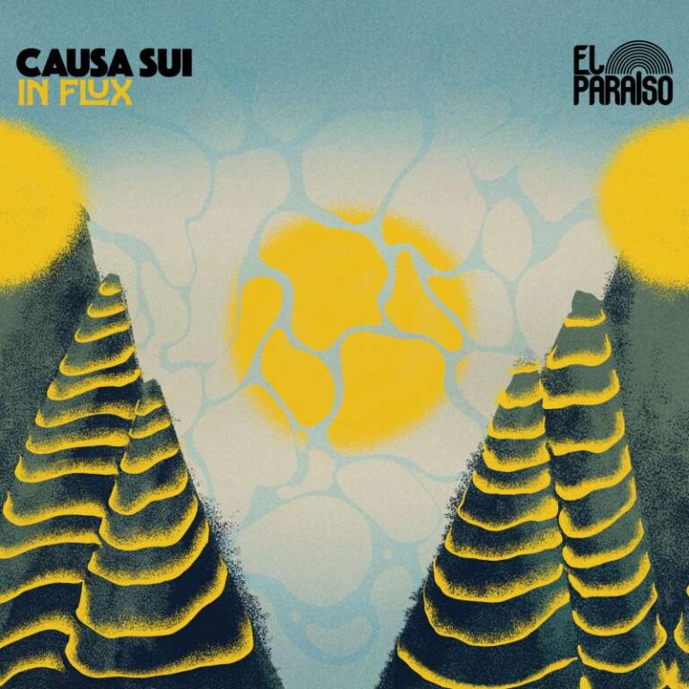 causa-sui-in-flux-scaled