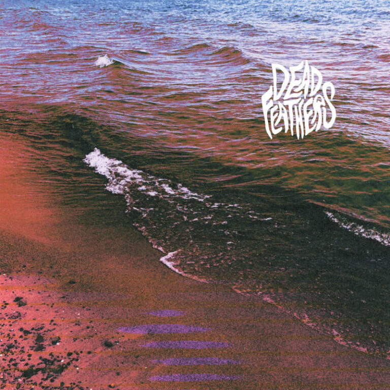 dead-feathers
