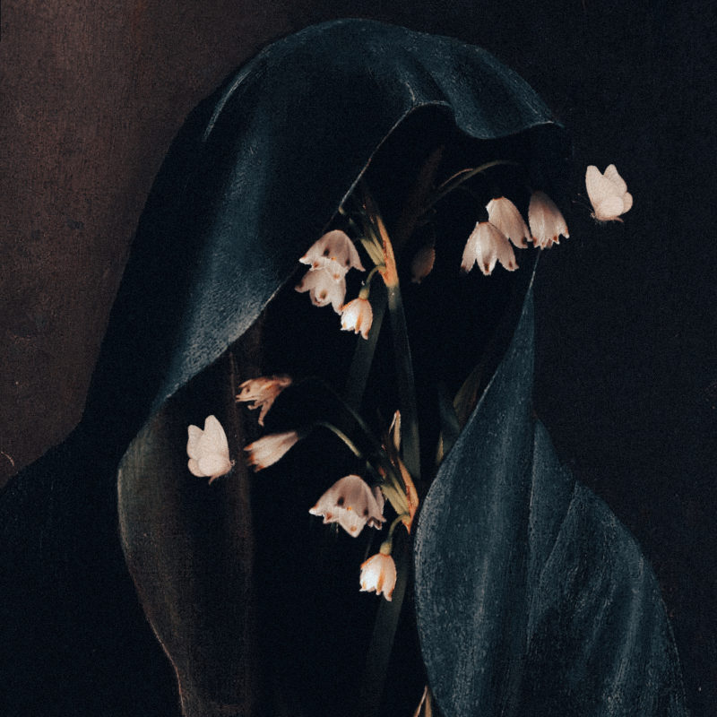 hailthevoid