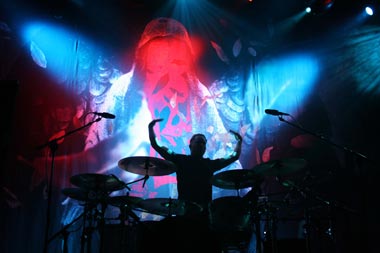 katatonia