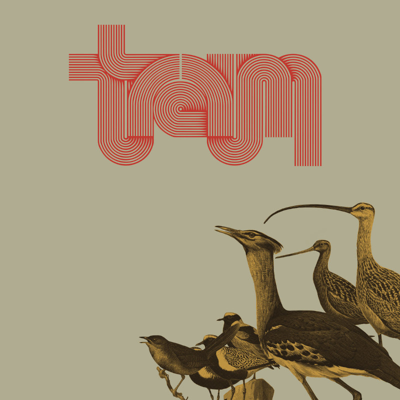 traum