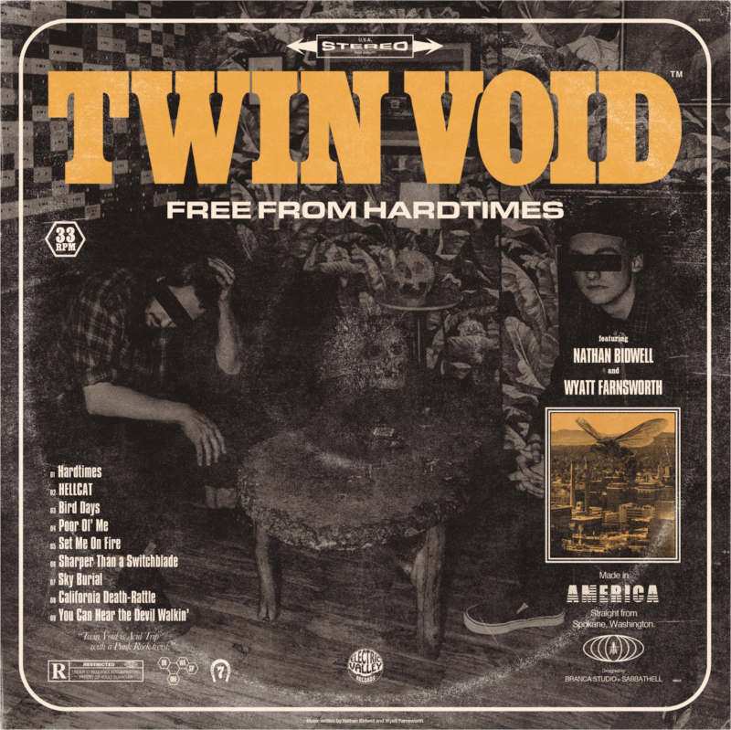 twinvoid